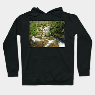 Hemlock Hollow Early Spring Hoodie